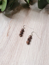 Load image into Gallery viewer, Rose &amp; Black Fire Polished Earrings
