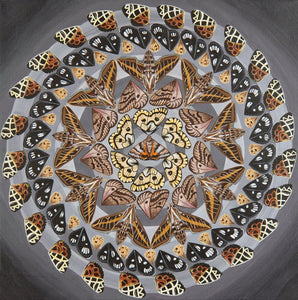 Original - Moth Mandala - Kaleidoscope